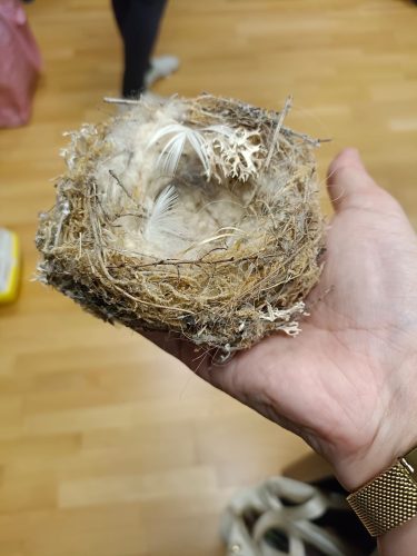 6b540566-3b56-450b-bef1-dcd28a0011b0