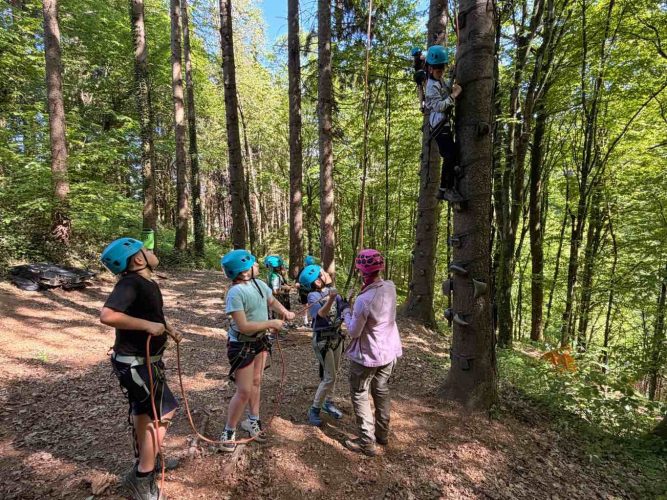 hdimg01be3ceb9a4a29151ef88053b388b2