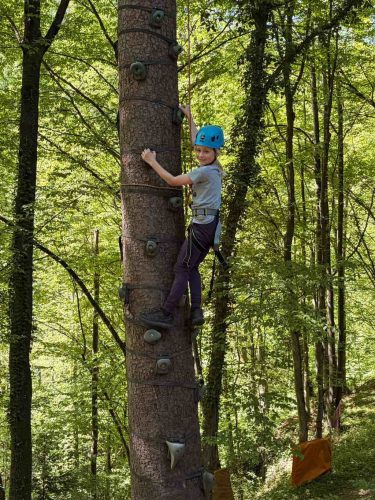 hdimg247f7c64c42bc8191a63c438b15fa4