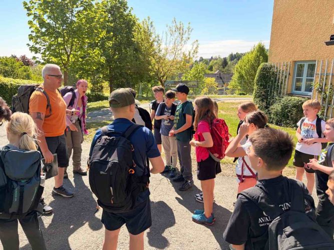 hdimg5630d9669e443dbba23e41f8e0e52f