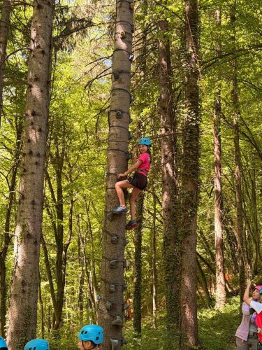 hdimg6adf7590896924835b3e7a0f14e327