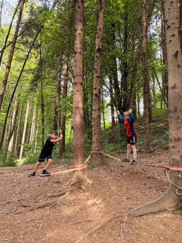 hdimg7ca7fc24ccecea2c57b63df70d55b2