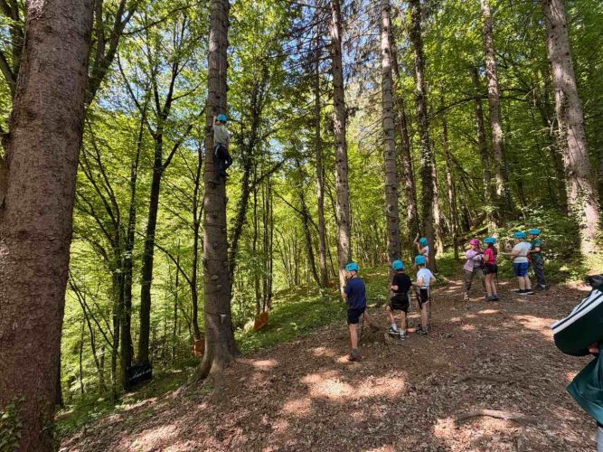 hdimgd392115f3b154c69d7ec98cabf97fb